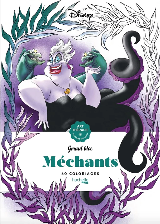 Grand bloc Disney Méchants -  - Hachette Heroes