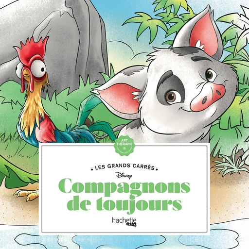 Les Grands carrés Compagnons de toujours -  - Hachette Heroes