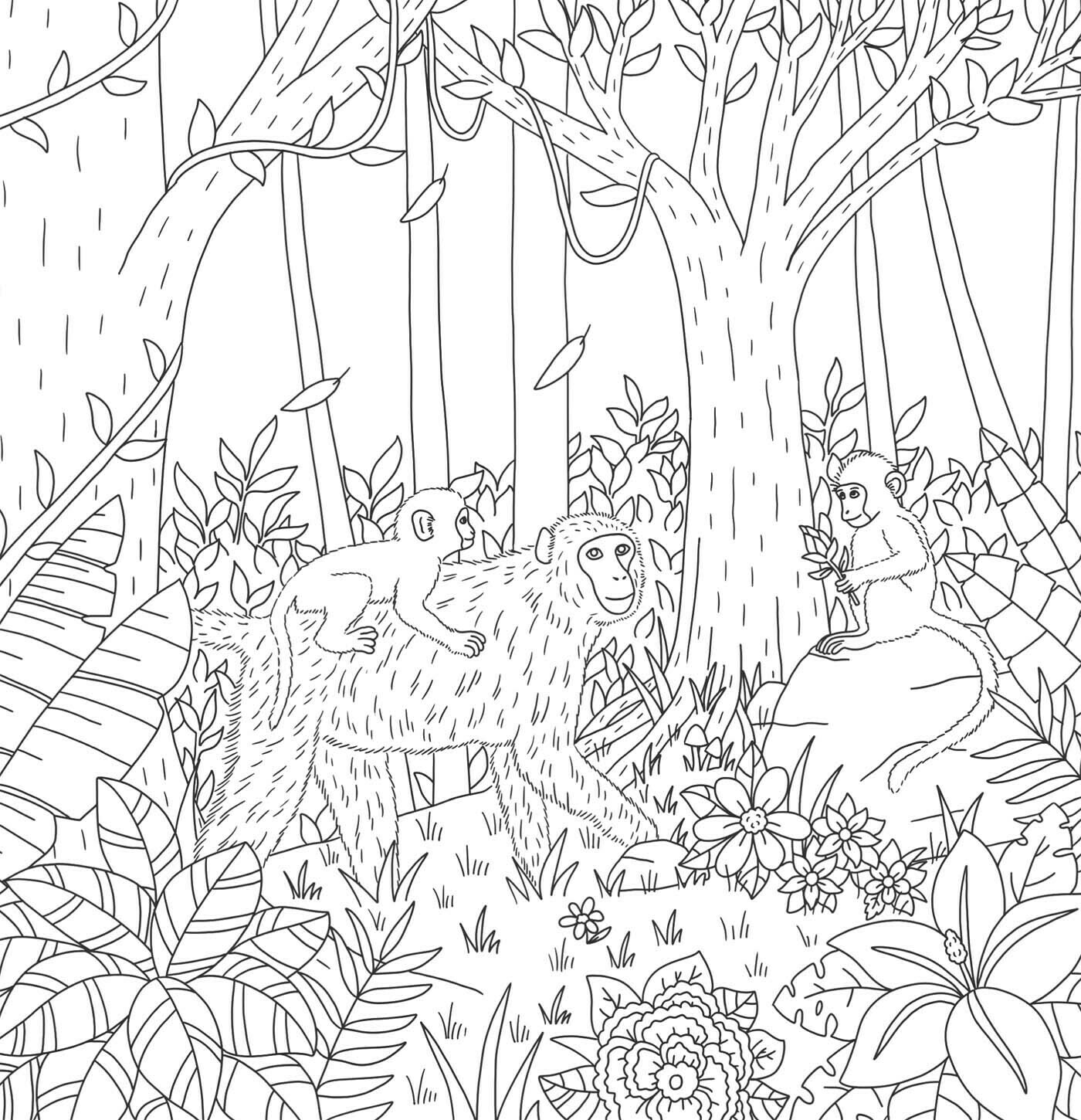 Marque-page Les animaux de la forêt ⋆ Caroline Nouveau illustratrice