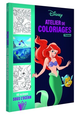 Art-thérapie ; coloriages mystères : Disney vilains : méchants - Jérémy  Mariez - Hachette Pratique - Papeterie / Coloriage - La Boîte à Livres TOURS