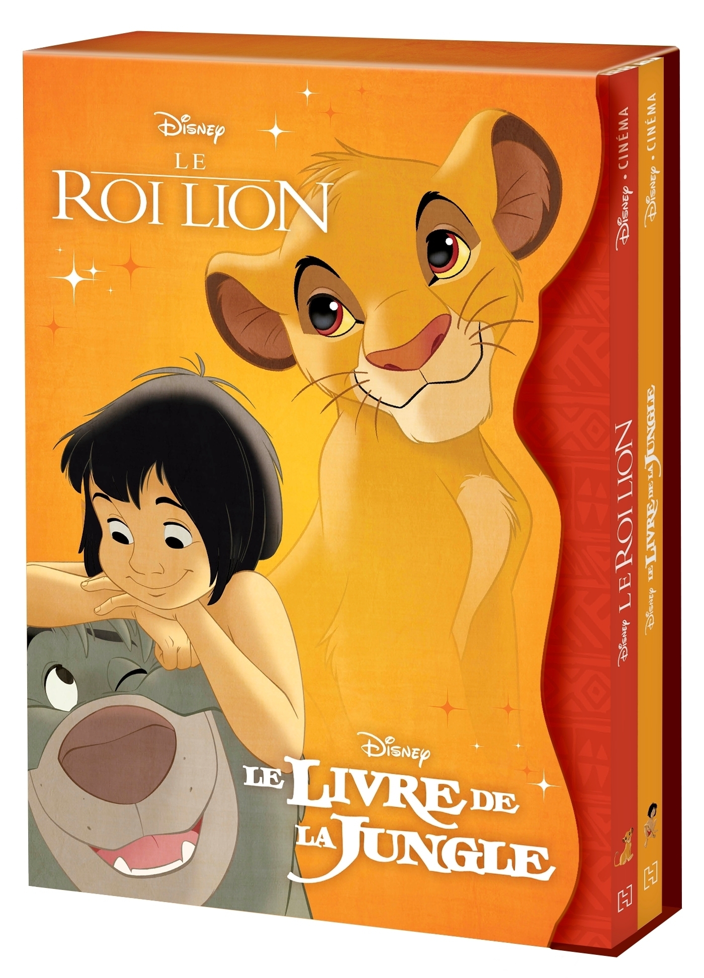 Le Roi Lion - Disney - Disney Hachette - Livre + CD Audio - Librairie  Passages LYON
