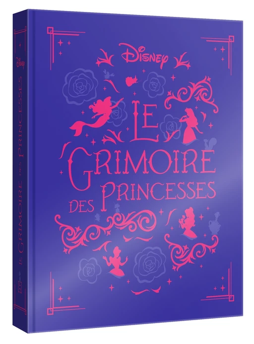 DISNEY PRINCESSES - Le Grimoire des Princesses - 10 histoires de Blanche-Neige à Rebelle -  - Hachette Jeunesse Collection Disney